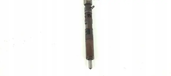 Renault Kangoo I Fuel injector EJBR05102D