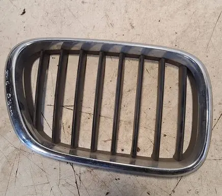 BMW X5 E53 Front grill 51138247674