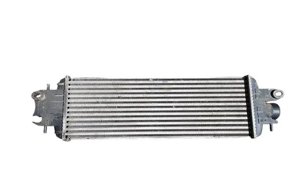 Renault Trafic II (X83) Intercooler radiator 8200219497