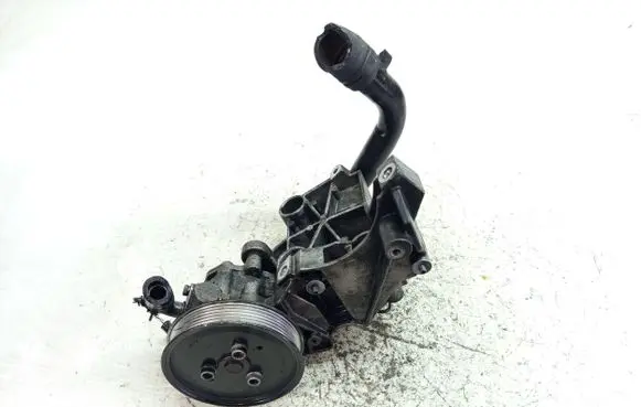 Volkswagen Phaeton Power steering pump 3D0422154F