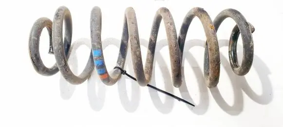 Rear coil spring
