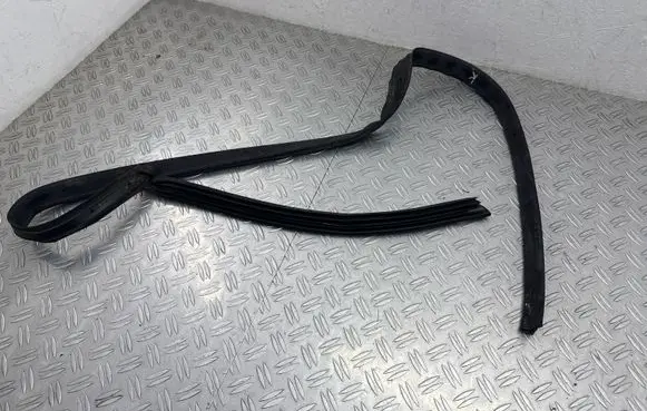 Seat Ateca Front door rubber seal DA10464