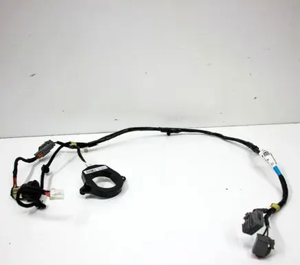 Tesla Model S Other wiring loom 100441800L 100562700B