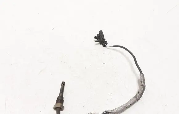 Volvo S60 Exhaust gas temperature sensor 31319841