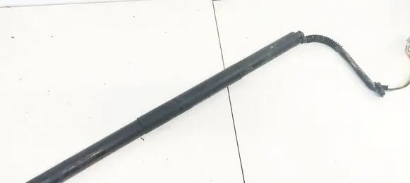 Tesla Model S Tailgate/trunk strut/damper 600661000B