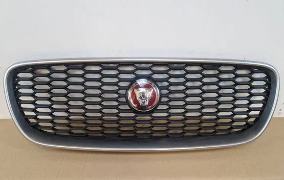 Jaguar XE Front grill LX73018K28BA