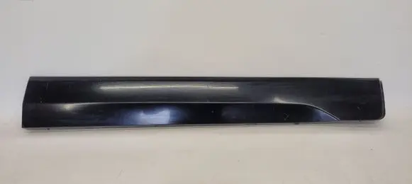 Ford Ecosport Front door trim (molding)