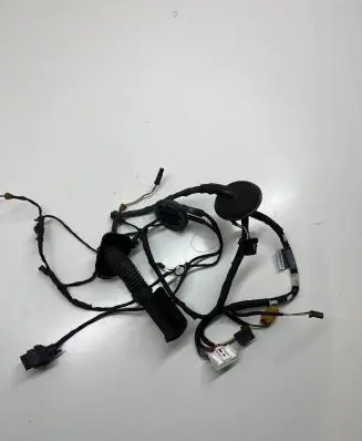 Rear door wiring loom