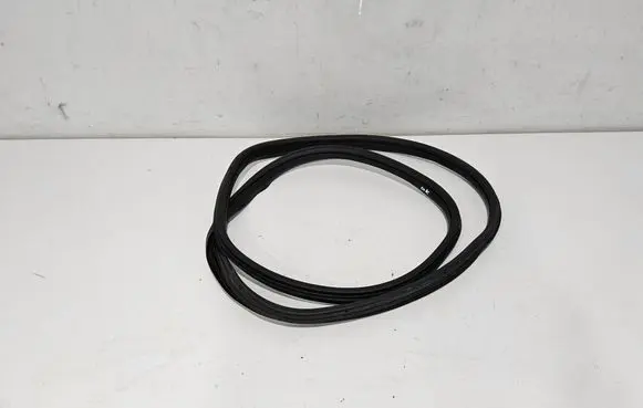 Fiat Tipo Rear door rubber seal (on body) 52102249