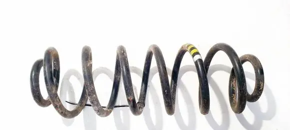 Rear coil spring