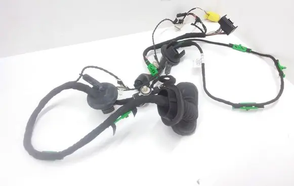 Front door wiring loom