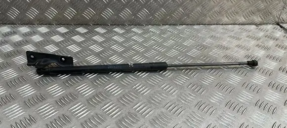 Citroen C4 Cactus Tailgate/trunk strut/damper 9813913880