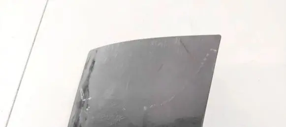 Rear/tail light trim molding