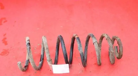 Citroen Jumpy Rear coil spring