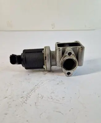 EGR valve