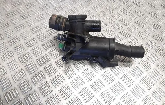 Thermostat/thermostat housing