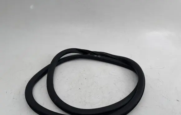DS Automobiles 4 II Rear door rubber seal (on body) 9830827180