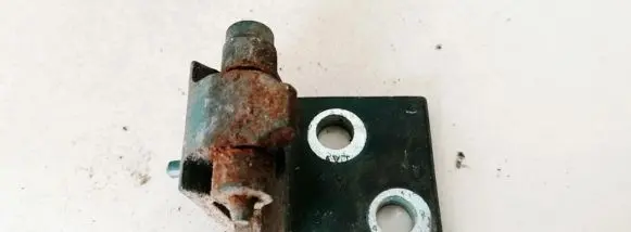 Citroen Xsara Front door upper hinge