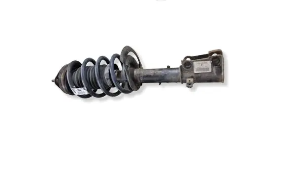 Dodge Journey Front shock absorber with coil spring P05151193AL