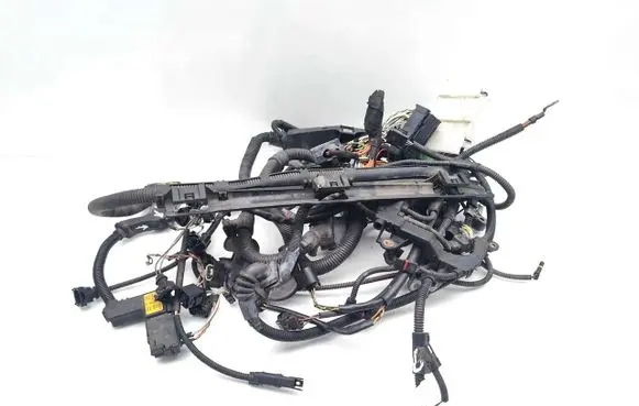 Engine installation wiring loom