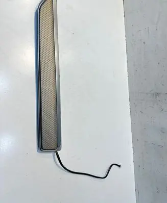 Renault Koleos II Front door trim bar D21701ZG000