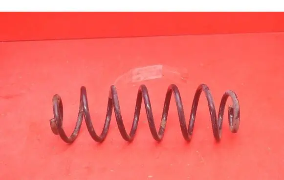 Rear coil spring