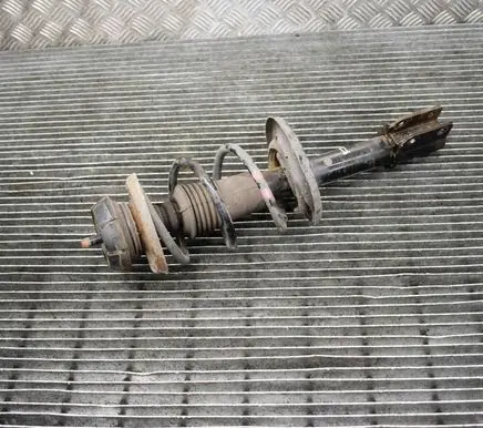 Dacia Sandero Front shock absorber/damper 543022905R