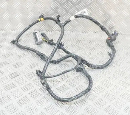 Tesla Model 3 Other wiring loom 106876901D