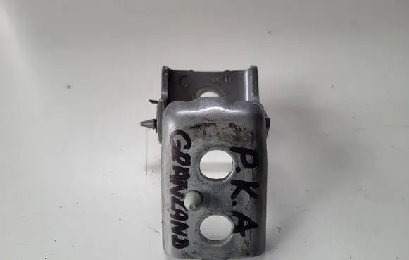Opel Grandland X Front door lower hinge 