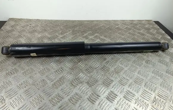 Ford F150 Rear shock absorber/damper 1A19376A