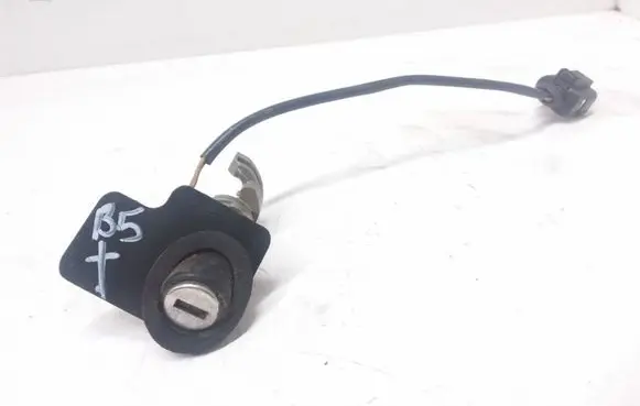 Volkswagen PASSAT B5.5 Tailgate exterior lock 