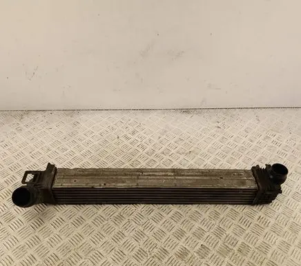 Renault Megane III Intercooler radiator 144963639R