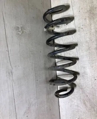 Rear coil spring