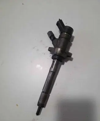 Peugeot 407 Fuel injector 0445110259