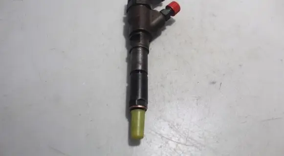 Citroen C5 Fuel injector 0445110076