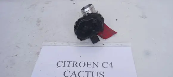 Citroen C4 Cactus Throttle valve 9807238580