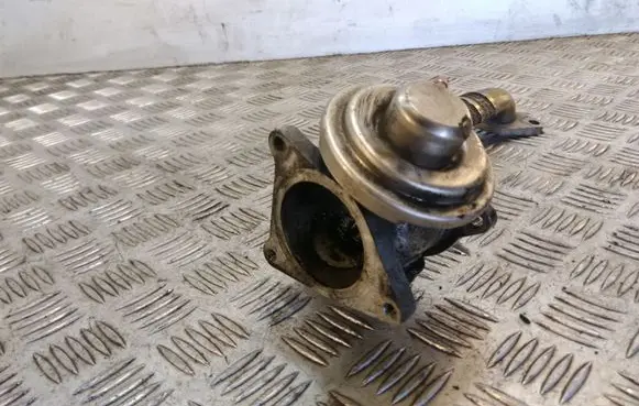 Volkswagen Jetta V EGR valve 038131501AF
