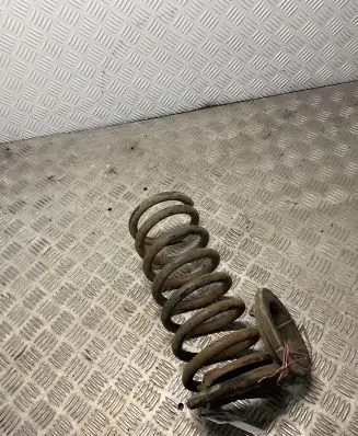 Chevrolet Captiva Rear coil spring
