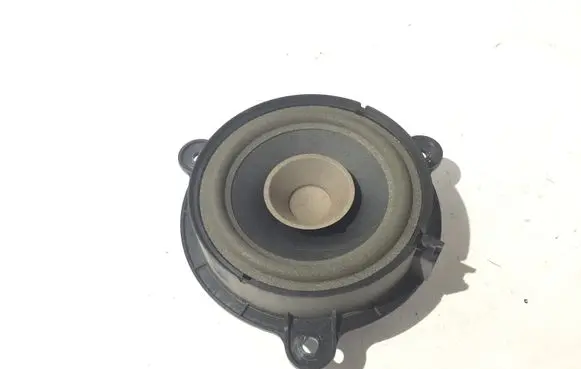 Rear door speaker