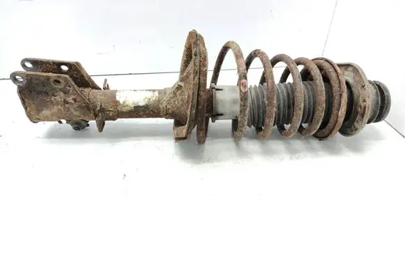 Fiat Doblo Front shock absorber with coil spring 351967070000 1967G