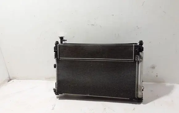 Toyota RAV 4 (XA50) Radiator set 