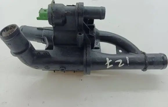 Thermostat/thermostat housing