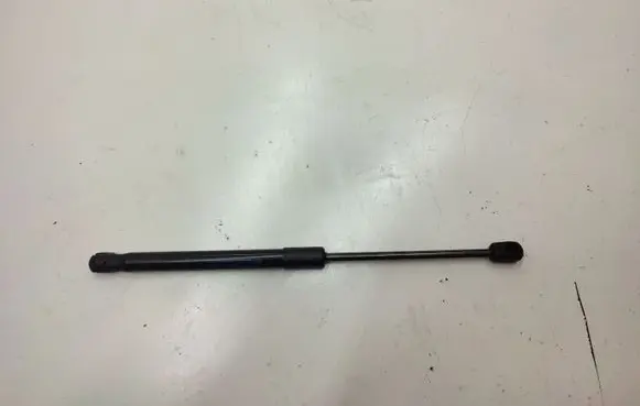 Tailgate strut