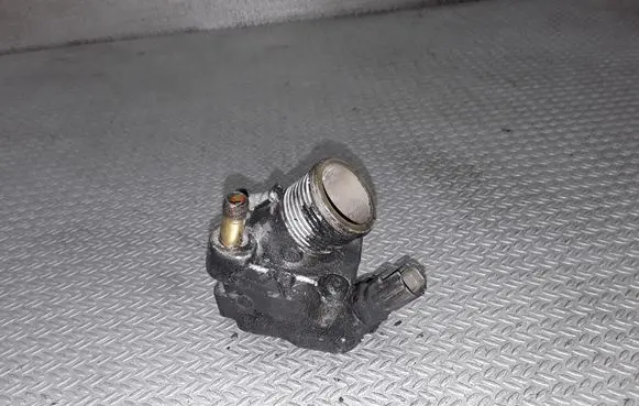 Thermostat/thermostat housing