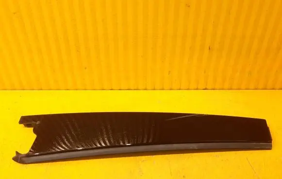 Front door trim (molding)