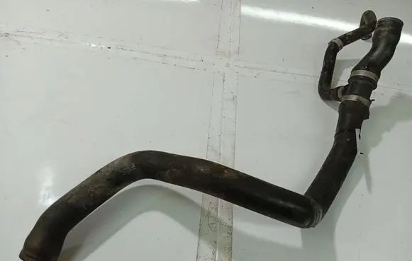 Opel Signum Engine coolant pipe/hose 