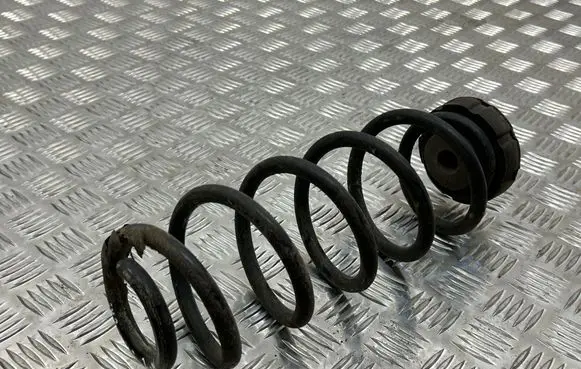 Rear coil spring