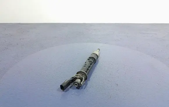 Nissan Qashqai Fuel injector 166005550R