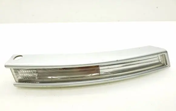 Volkswagen PASSAT B6 Front indicator light 3C0953042L