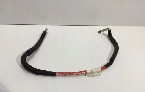 Volkswagen Golf VIII Wires (generator/alternator) 2AS20KSM40000